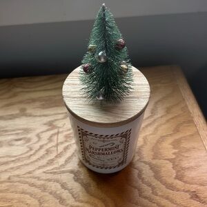 New Peppermint Marshmallows DW Home Candle